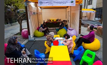 جشنواره نوروزگاه در خیابان برادران مظفر 3