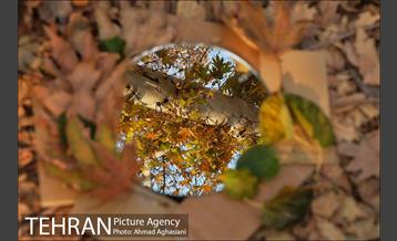 سومین رویداد هنری "پاییز برگ" در میدان مشق 45