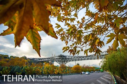 پاییز پل طبیعت 7