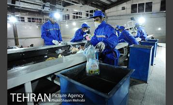 شبگردی اصحاب رسانه به میزبانی منطقه 6 16