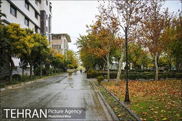 پاییز در بوستان رازی 1