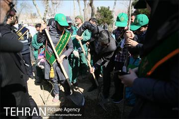 غرس نهال در بوستان بهاران 18