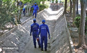 مبارزه با جانوران موذی 18