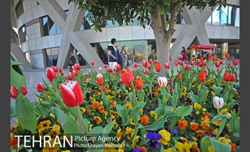 برج میلاد میزبان لاله های بهاری و تخم مرغ های رنگی 2