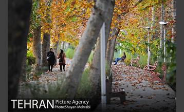 طبیعت پاییزی بوستان لاله 16