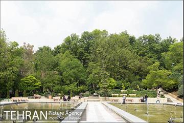 بوستان نیاوران 6