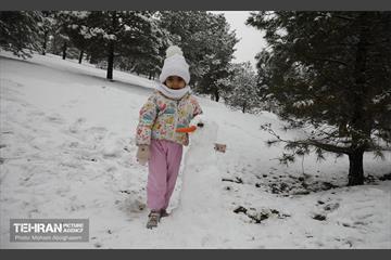 روز برفی تهران - 2 32