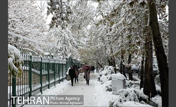 بارش اولین برف پاییزی در تهران 4