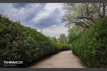 باغ گیاه‌شناسی 46