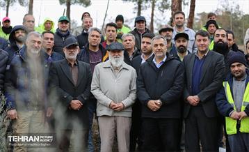 آغاز کاشت ۲۵ هزار اصله نهال غیرمثمر در بوستان چیتگر 6