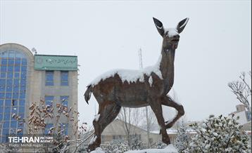 عملیات برف‌روبی در منطقه 2