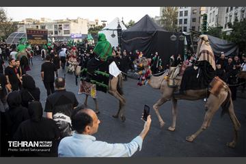 ورود نمادین کاروان امام حسین‌(ع) به کربلا 6