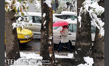 بارش اولین برف پاییزی در تهران 11