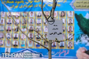 مراسم درختکاری به مناسبت یادبود همکاران جانباخته کرونا در شهرداری تهران 29