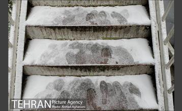 بارش نخستین برف پاییزی تهران 6