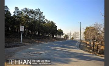 پارک جنگلی سرخه حصار 47