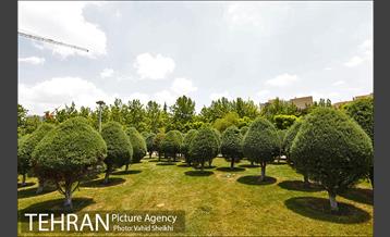 بوستان میعاد 22