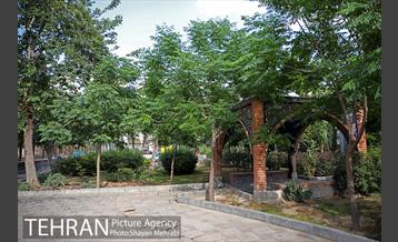 بوستان باغ حکیم 18