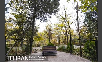 طبیعت پاییزی بوستان فدک 18
