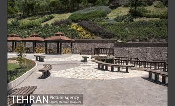 بوستان نهج البلاغه 34