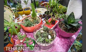 مراسم اختتامیه نخستین جشنواره دختران تهران در بوستان پردیس بانوان 17