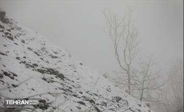 بارش برف زمستانی در تهران 24