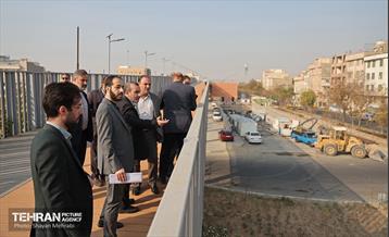 بازدید مدیرکل حوزه شهردار تهران از باغ راه حضرت زهرا(س) 41