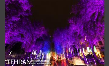 نورپردازی درختان بلوار میرداماد 23