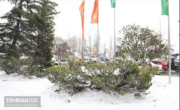 عصر زمستانی تهران 8