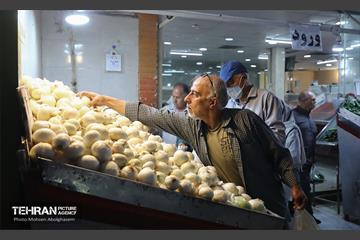 خدمات رسانی بازارهای میوه و تره‌بار 13