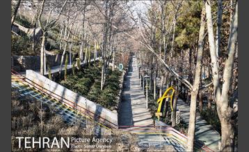 پارک ساعی 29