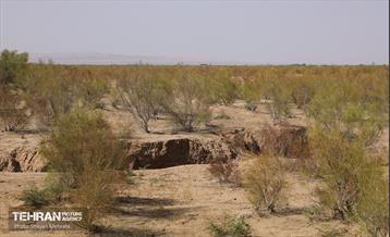 مهار زلزله خاموش 21