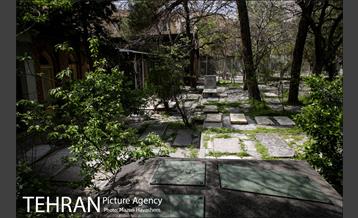 گورستان ظهیرالدوله 16