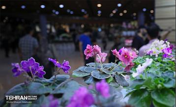 نوزدهمین نمایشگاه گل و گیاه تهران 22