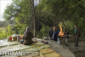 بوستان جنگلی لویزان 6