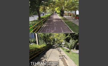 منطقه 8 در گذر زمان 3