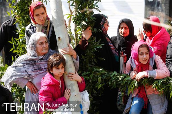 مراسم احیای درختان خیابان ولیعصر (عج) 18