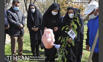 مراسم روز درختکاری در منطقه 7