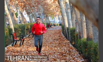 پاییز بوستان تمدن 1