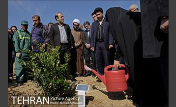 روز درختکاری در بوستان تبسم 8