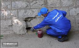 مبارزه با جانوران موذی 20