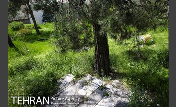 گورستان ده ونک 6