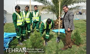 مراسم درختکاری به مناسبت روز مادر 48
