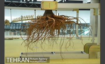 بازدید شهردار تهران از پروژه باغ کتاب در مجموعه اراضی عباس آباد 17