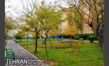 بوستان پارسیان 5