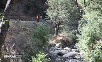 همایش پیاده روی خانوادگی در رود دره فرحزاد 63