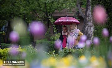 تیتر هوای بهاری تهران 28