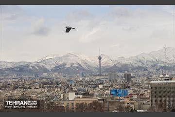 تهران 12