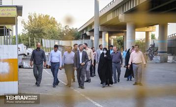 بازدید نرگس معدنی پور از منطقه 17