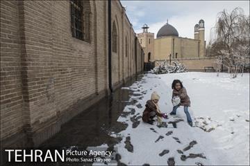 روز برفی در باغ موزه قصر‎ 24